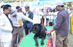 Dog Show 2025: A Canine Celebration in Patna