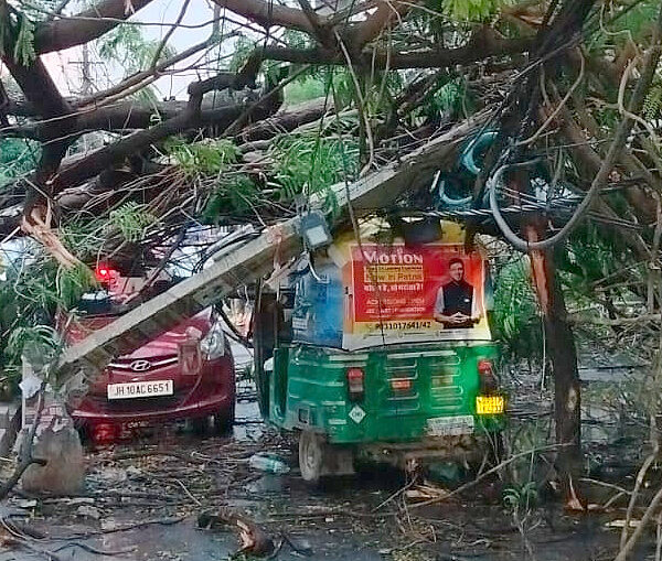 Heavy Storm Throws Patna Into Chaos, Trees Uprooted Across City